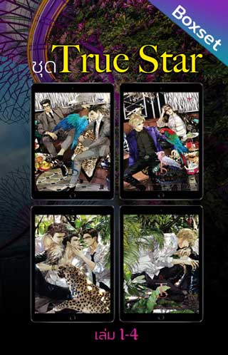 boxset-ชุด-true-star-เล่ม-1-4-หน้าปก-ookbee