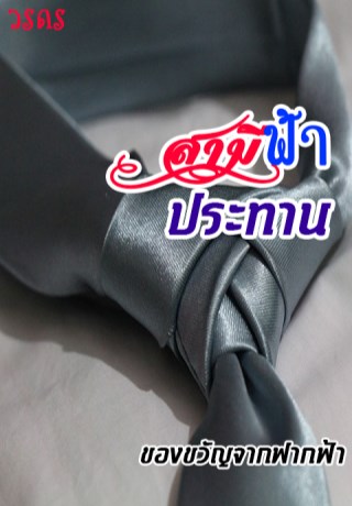 สามีฟ้าประทาน-หน้าปก-ookbee