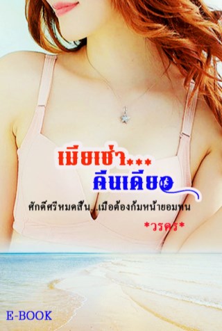 เมียเช่าคืนเดียว-หน้าปก-ookbee