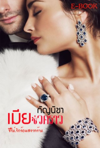 เมียชั่วคราว-ซีรี่ย์รักร้อนสวาทร้าย-หน้าปก-ookbee