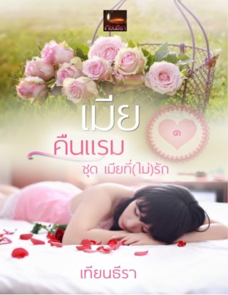 หน้าปก-เมียคืนแรม-ookbee