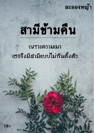 สามีข้ามคืน-หน้าปก-ookbee