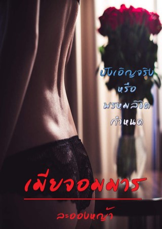เมียจอมมาร-หน้าปก-ookbee