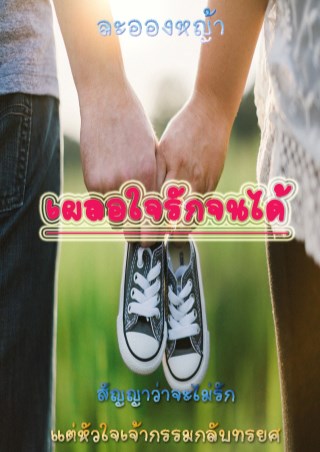 เผลอใจรักจนได้-หน้าปก-ookbee