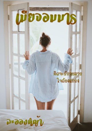 เมียจอมมาร-หน้าปก-ookbee