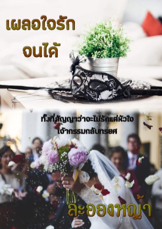เผลอใจรักจนได้-หน้าปก-ookbee