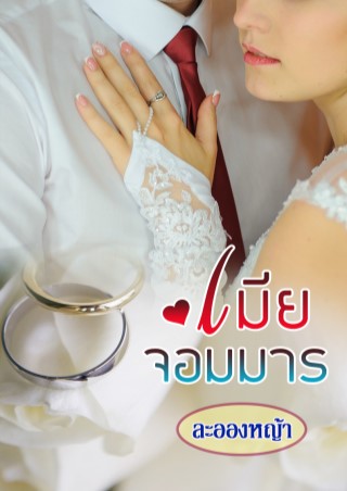 เมียจอมมาร-หน้าปก-ookbee