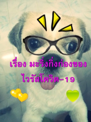 เรื่อง-มะริ่งกิ่งก่องของไวรัสโควิด-19-หน้าปก-ookbee