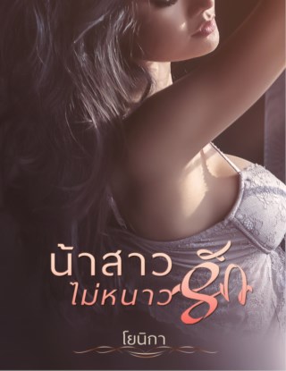 เรื่องสั้น-น้าสาว-ไม่หนาวรัก-หน้าปก-ookbee