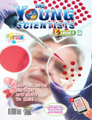 the-young-scientists-level-4-71-lab-cultured-shrimps-are-safe-to-eat-cover-ookbee
