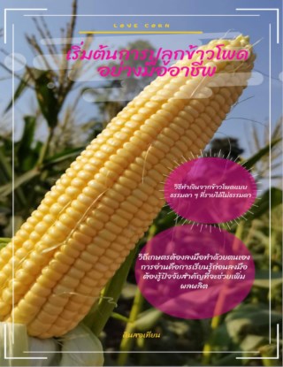 หน้าปก-เริ่มต้นการปลูกข้าวโพดอย่างมืออาชีพ-ookbee