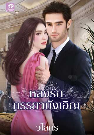 หลงรักภรรยาบังเอิญ-หน้าปก-ookbee