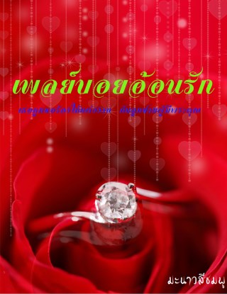 เพลย์บอยอ้อนรัก-หน้าปก-ookbee