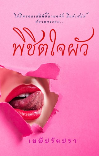 พิชิตใจผัว-หน้าปก-ookbee