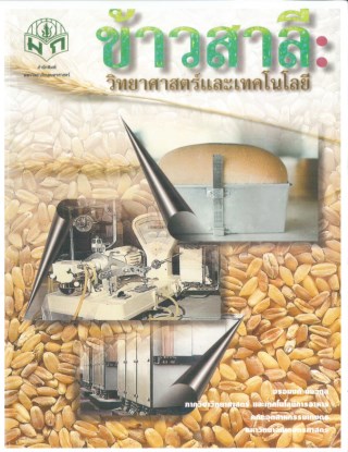 หน้าปก-ข้าวสาลี-วิทยาศาสตร์และเทคโนโลยี-ookbee