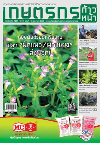 เกษตรก้าวหน้า-june-2019-หน้าปก-ookbee