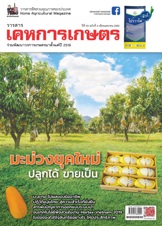 kehakaset-april-2019-หน้าปก-ookbee