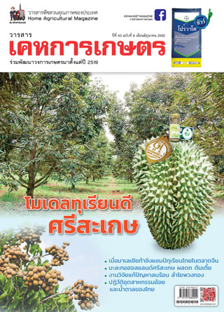 kehakaset-june-2019-หน้าปก-ookbee