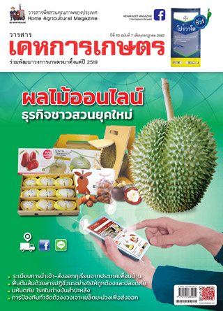 kehakaset-july-2019-หน้าปก-ookbee