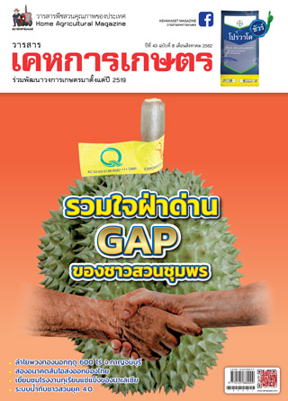 kehakaset-august-2019-หน้าปก-ookbee
