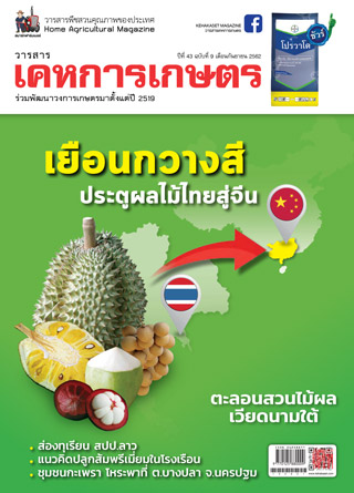 kehakaset-september-2019-หน้าปก-ookbee