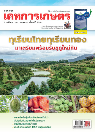 kehakaset-october-2019-หน้าปก-ookbee