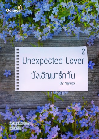 epub-บังเอิญมารักกัน-2-yaoi-หน้าปก-ookbee