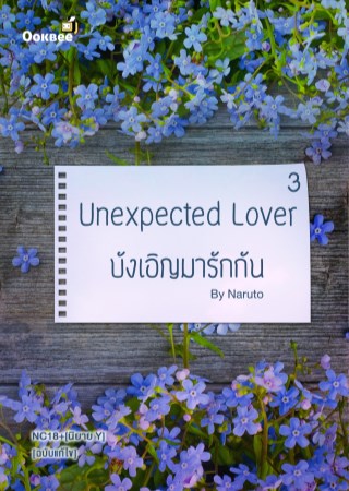 บังเอิญมารักกัน-3-yaoi-หน้าปก-ookbee