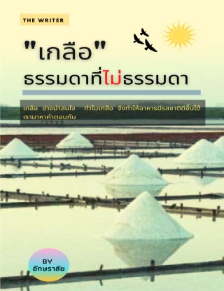 หน้าปก-เกลือ-ธรรมดาที่ไม่ธรรมดา-ookbee