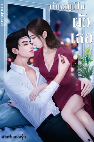บังเอิญเป็นผัวเธอ-หน้าปก-ookbee