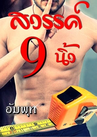 สวรรค์-9-นิ้ว-หน้าปก-ookbee