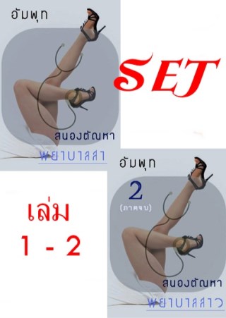 หน้าปก-ตัวอย่าง-set-สนองตัณหาพยาบาลสาว-ชุด-2-เล่ม-ookbee