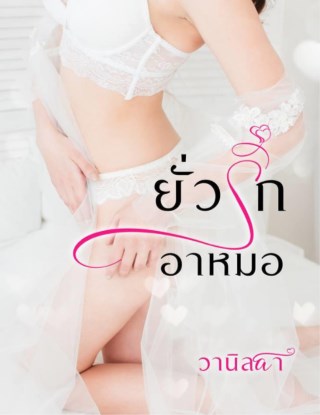 หน้าปก-ยั่วรักอาหมอ-ookbee