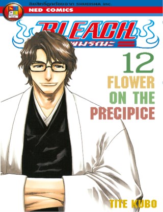 bleach-เทพมรณะ-เล่ม-12-หน้าปก-ookbee