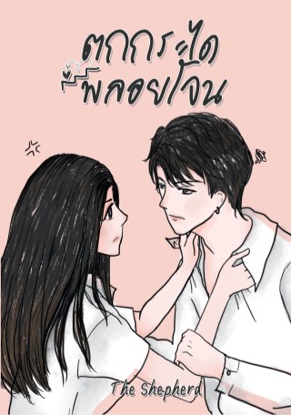 ตกกระไดพลอยโจน-หน้าปก-ookbee