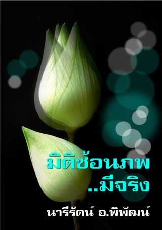 มิติซ้อนภพมีจริง-หน้าปก-ookbee