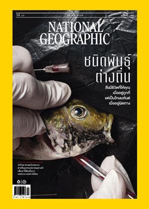 หน้าปก-national-geographic-ฉบับภาษาไทย-october-2025-ookbee