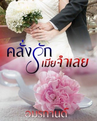 คลั่งรักเมียจำเลย-หน้าปก-ookbee