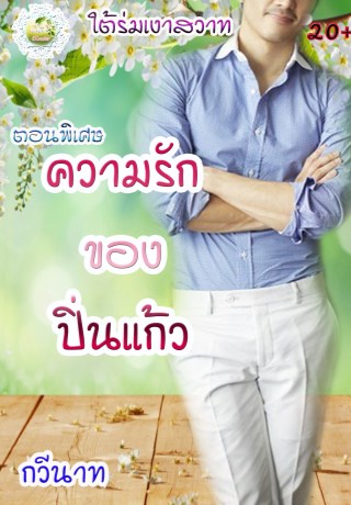 หน้าปก-ความรักของปิ่นแก้ว-ookbee