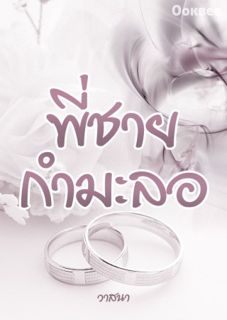 หน้าปก-พี่ชายกำมะลอ-ookbee