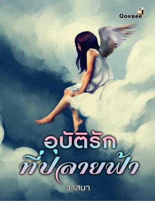 อุบัติรักที่ปลายฟ้า-หน้าปก-ookbee