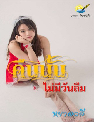 หน้าปก-คืนนั้นไม่มีวันลืม-ookbee