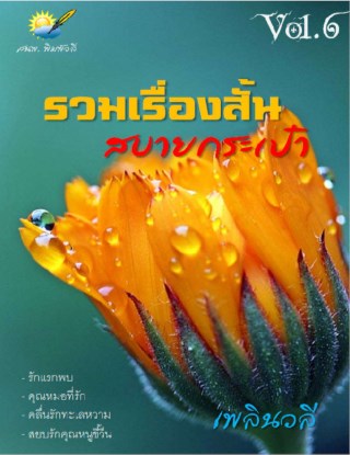 หน้าปก-รวมเรื่องสั้น-สบายกระเป๋า-vol-6-ookbee