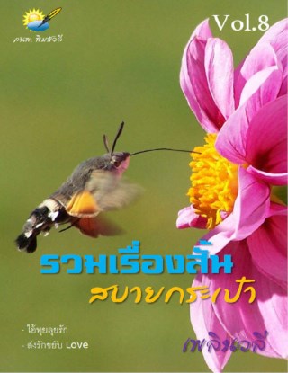 หน้าปก-รวมเรื่องสั้น-สบายกระเป๋า-vol-8-ookbee