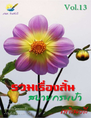 หน้าปก-รวมเรื่องสั้น-สบายกระเป๋า-vol-13-ookbee