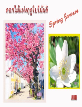 ดอกไม้แห่งฤดูใบไม้ผลิ-spring-flowers-หน้าปก-ookbee