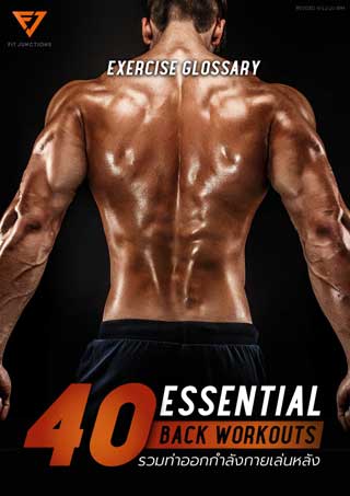essential-workout-40-ท่าเล่นหลัง-หน้าปก-ookbee