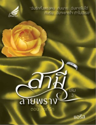 สามีลายพราง-เล่ม-3-หน้าปก-ookbee