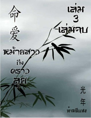 หม้ายสาวถึงคราวลุย-เล่ม-3-หน้าปก-ookbee