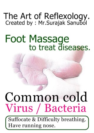 common-cold-หน้าปก-ookbee